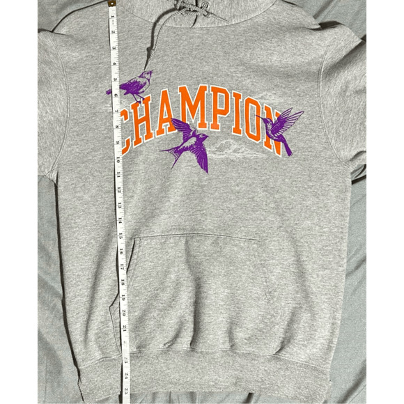 Vintage Champion Urban Outfitters Songbird Gray Hoodie Sz Small Rare - Picture 10 of 11